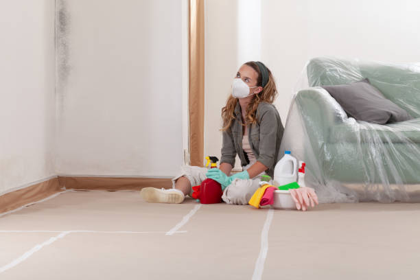 Reliable Mold Remediation contractor in Woodcliff Lake, NJ by Cheap Mold Removal