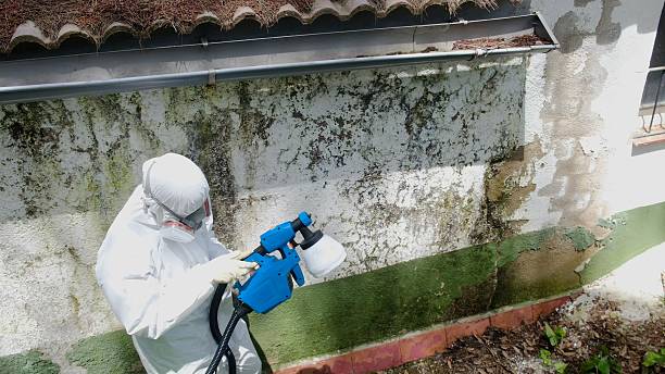 Trusted Mold Remediation service in Woodcliff Lake, NJ - Cheap Mold Removal